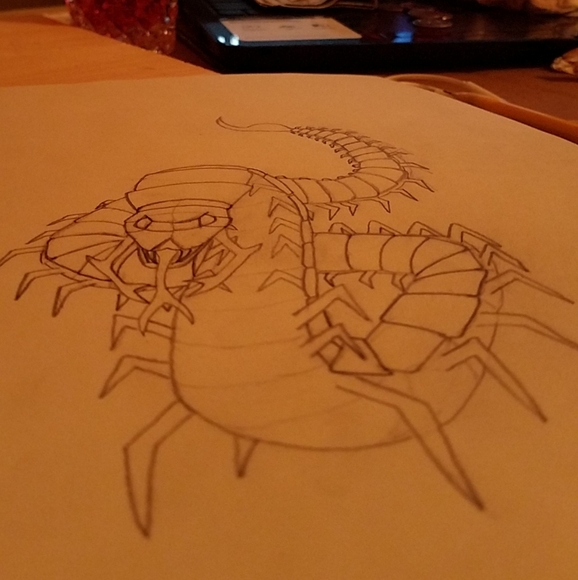 Meet your Posher, Ceara - Picture 16 of 16